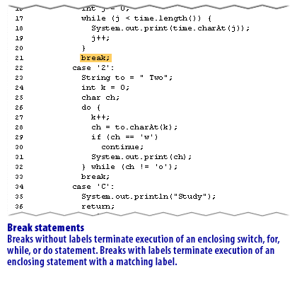 11) Java Statements 11