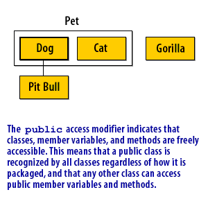  The public access modifier indicates that classes, member variables, and methods are freely accessible.  