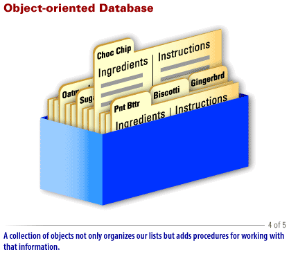 4) DBMS Type 4