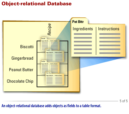 5) DBMS Type 5